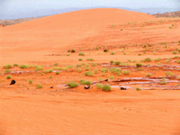 Sand Hollow State Park Dunes